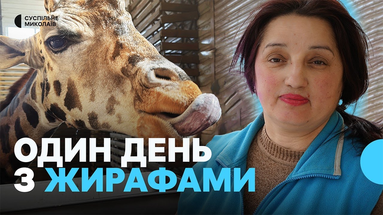 День на роботі з доглядачкою жирафів Нуру і Логана