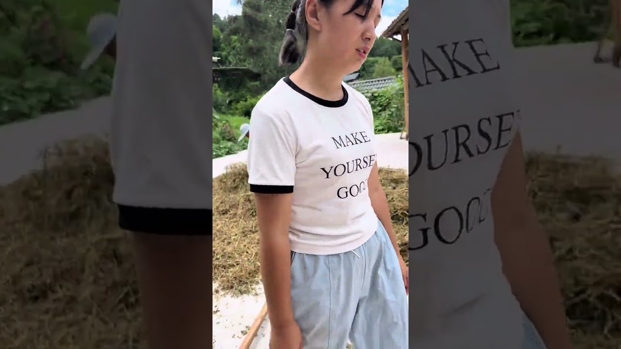 农村生活就是这样的 庄稼收回来 没进仓 都不能算是自己的啊  就怕抢偏东#黑豆  #记录真实生活 #老刘的家人 #抢偏东雨 #丰收的季节