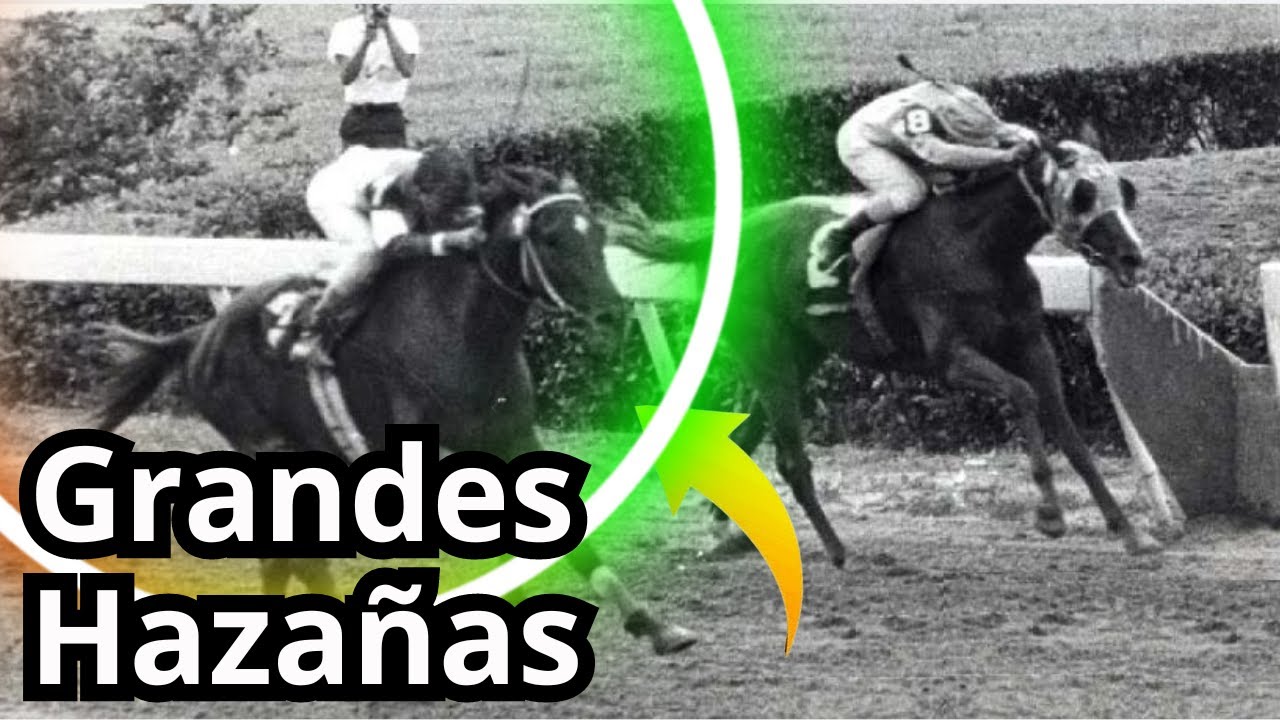 5 VICTORIAS mas grande de VENEZUELA en el CLÁSICO DEL CARIBE (Recordar es vivir)