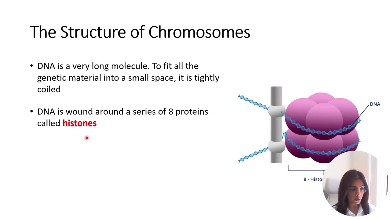 DNA structure and function (ATAR Biology)