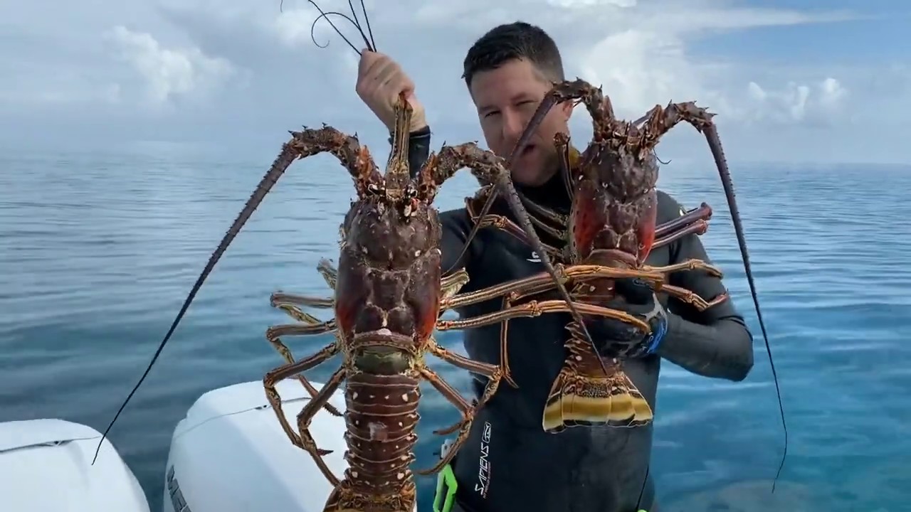 Monster Bahamas Lobsters with Hicks Family