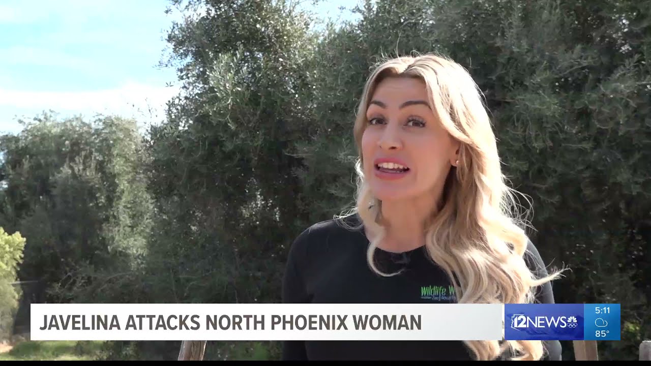 'It tore all the tendons in my left arm, I couldn't move my fingers': Javelina attacks Phoenix woman