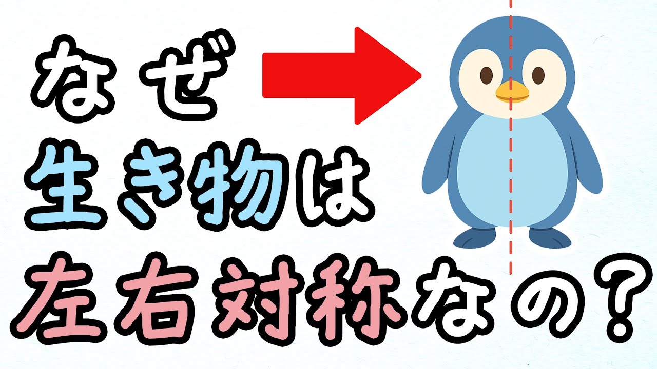 なぜ生命は左右対称なのか【小学生でもわかる・ざっくり解説】