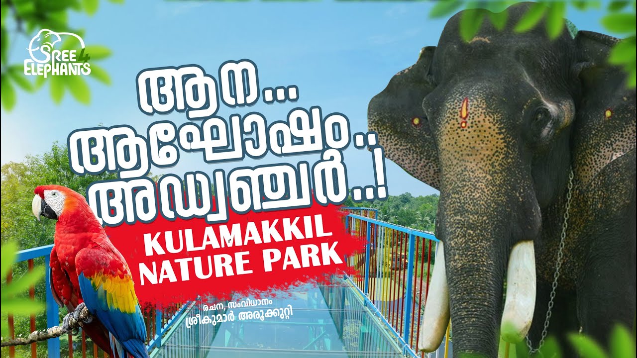 ജോണ്ടി റോഡ്സിന്റെ 