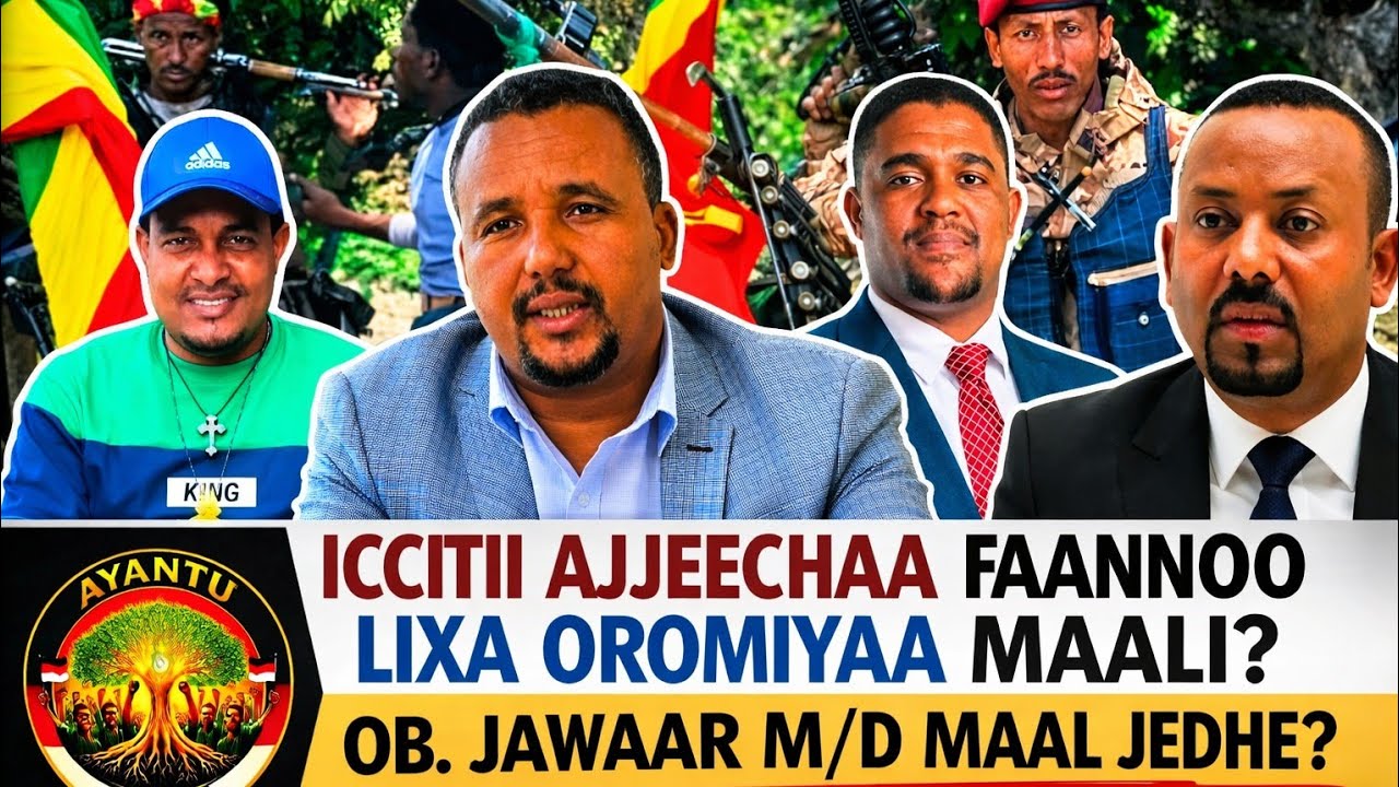Iccitiin fixiinsa humni 'Faannoo' raawwataa jiru duuba jiru maali?