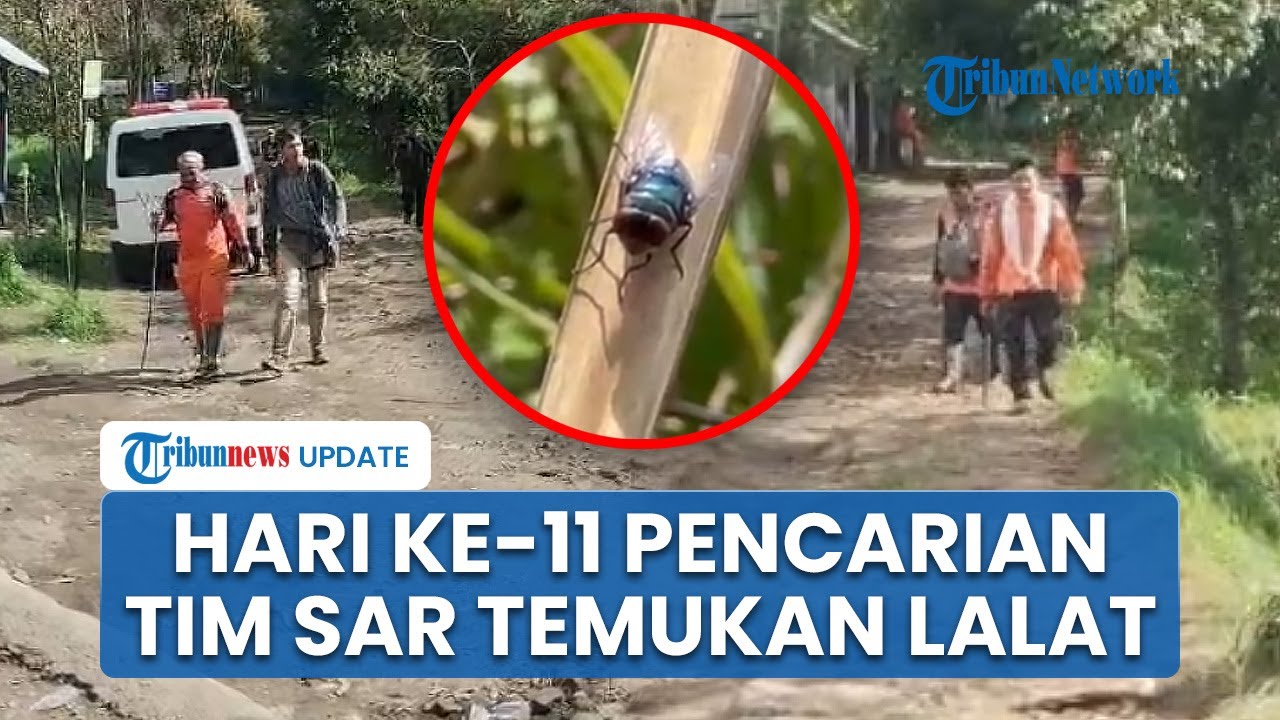 Tim SAR Temukan Petunjuk Baru Hari ke-11 Pendaki Mongkrang Hilang, Ada Temuan Lalat di Pos Candi 1