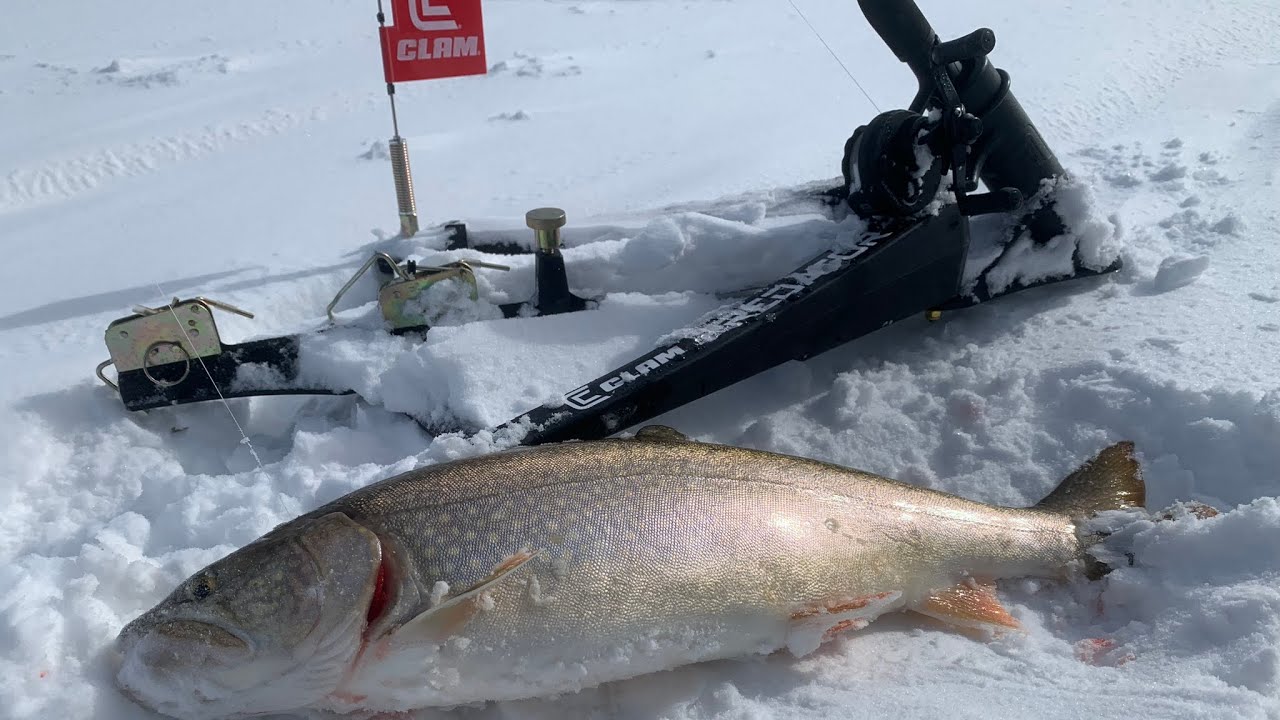 How NOT to set @ClamOutdoors predator