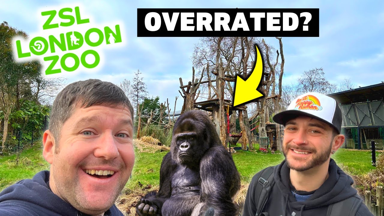 Is London Zoo ACTUALLY Worth It?