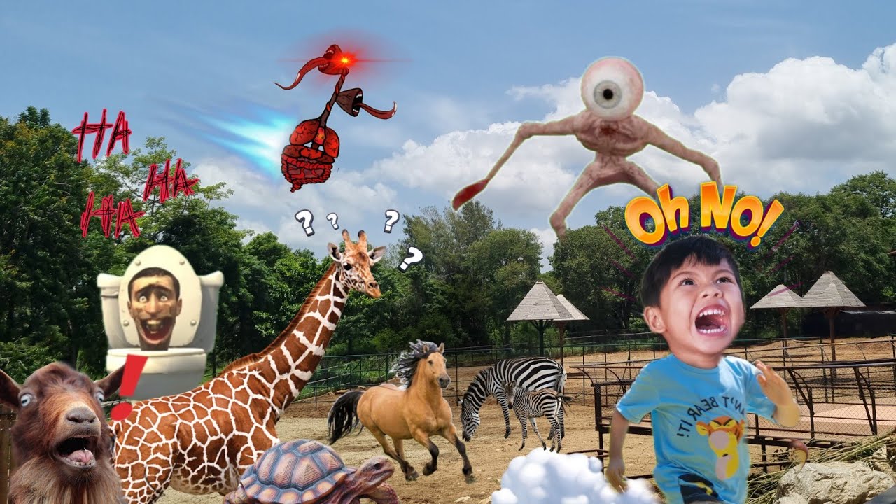 เจ้าเปา ตะลุย‼️ สวนสัตว์โบนันซ่า เอกโซติกซู เขาใหญ่ คลิปเต็ม ยีราฟ นกกระจอกเทศ ซูลกาต้า zoo ไซเรนเฮด