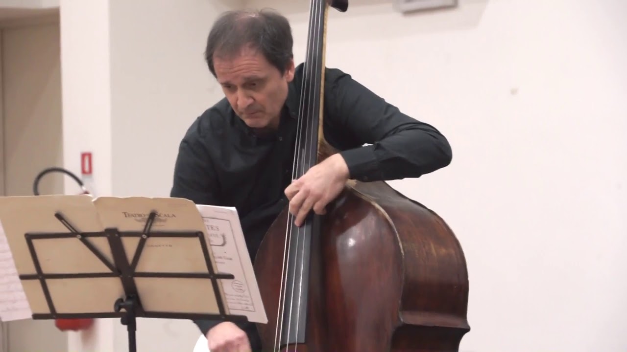 02 Franz Schubert: Sonata in La min D821 "Arpeggione"  - I movimento
