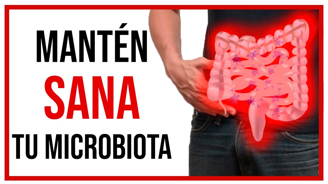 🟡 MICROBIOTA Intestinal: conoce los FACTORES que la afectan