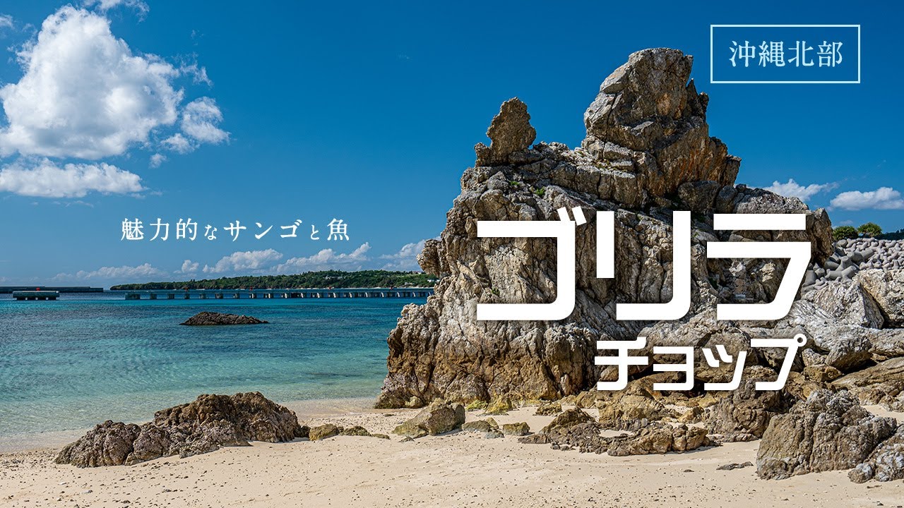 【これぞ沖縄】魅力的なサンゴと魚！人気のゴリラチョップで絶景シュノーケリング