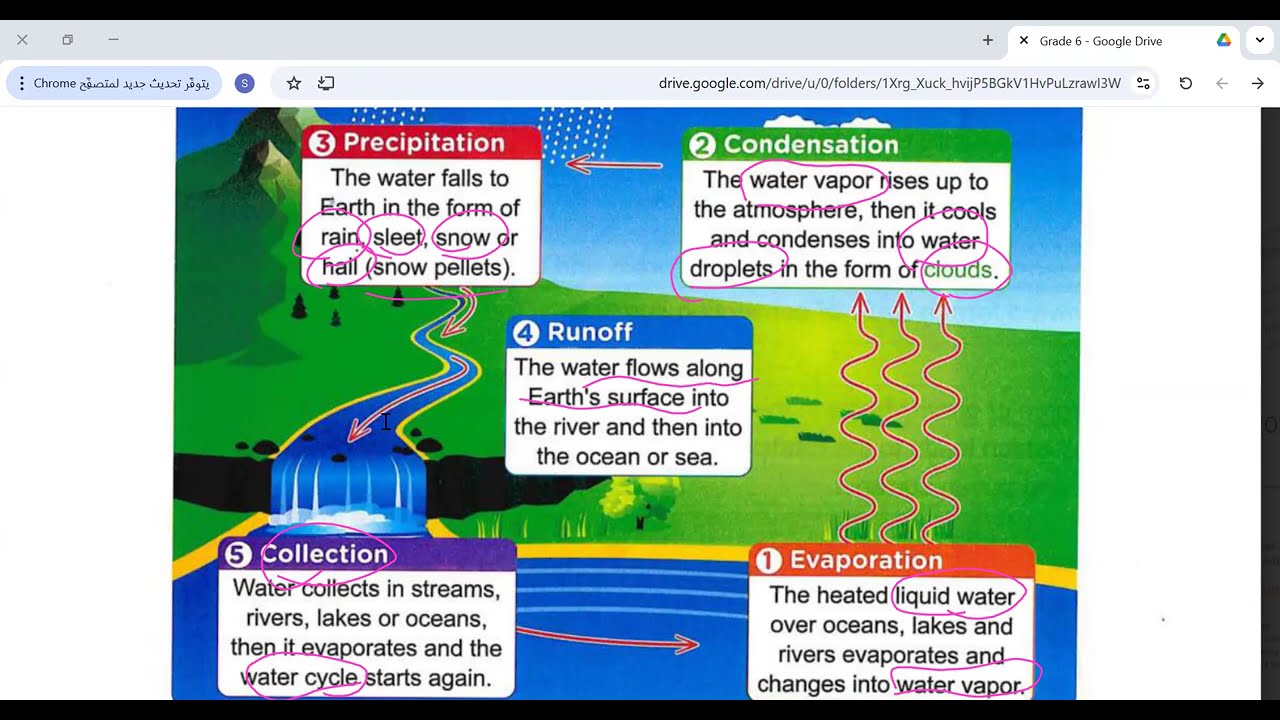 Grade6-Unit3-Concept1-Lesson3
