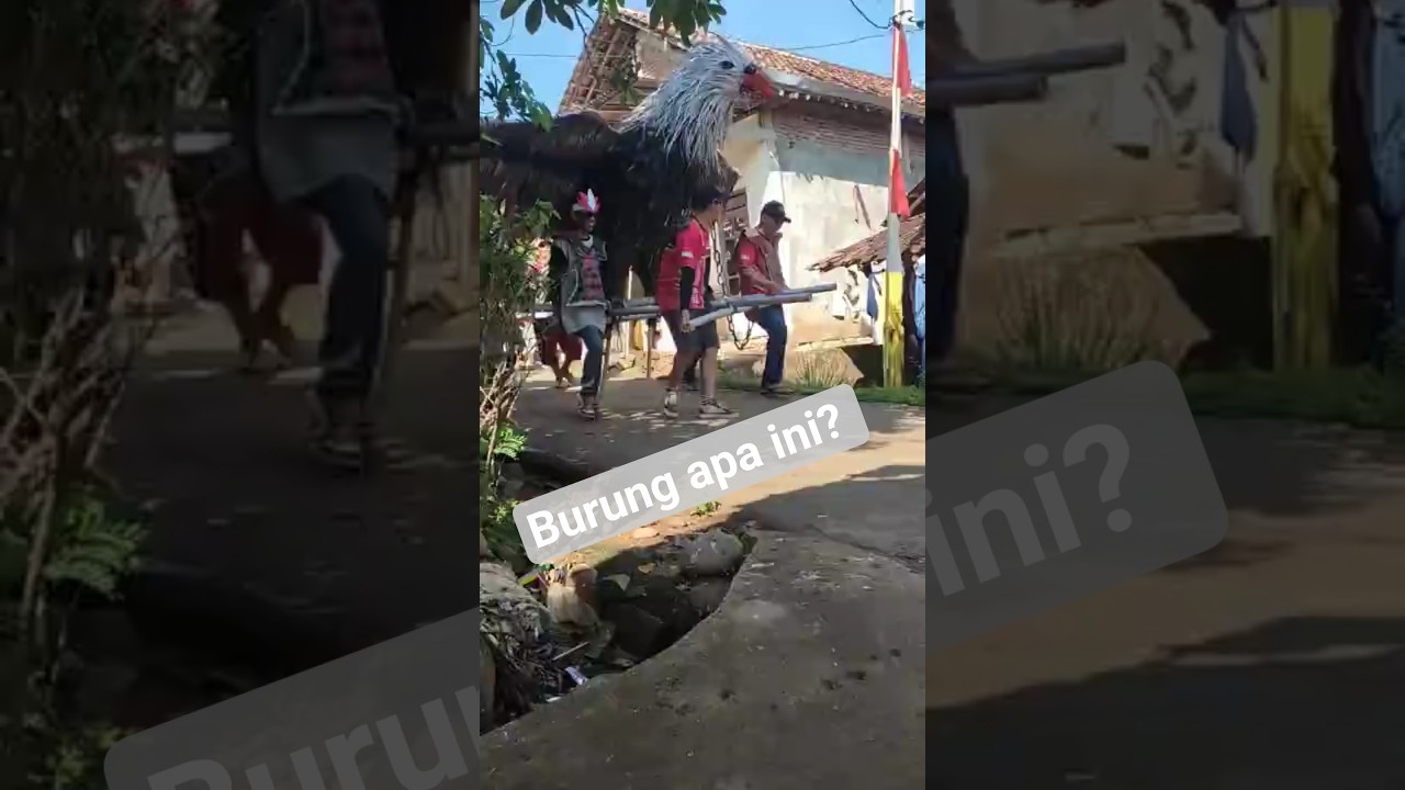 ogoh-ogoh burung garuda || karnaval hari kemerdekaan Indonesia #karnaval #viral #trending