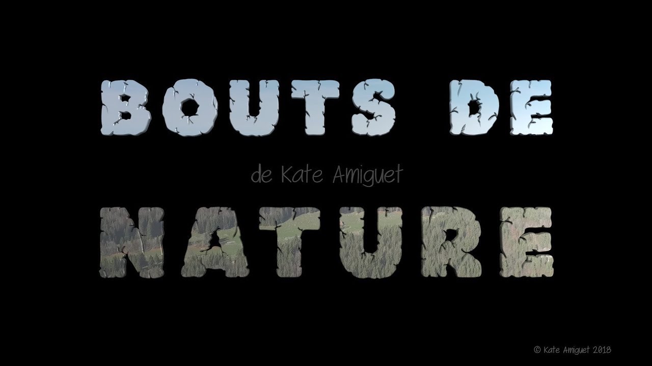 BOUTS DE NATURE  de Kate Amiguet - version intégrale