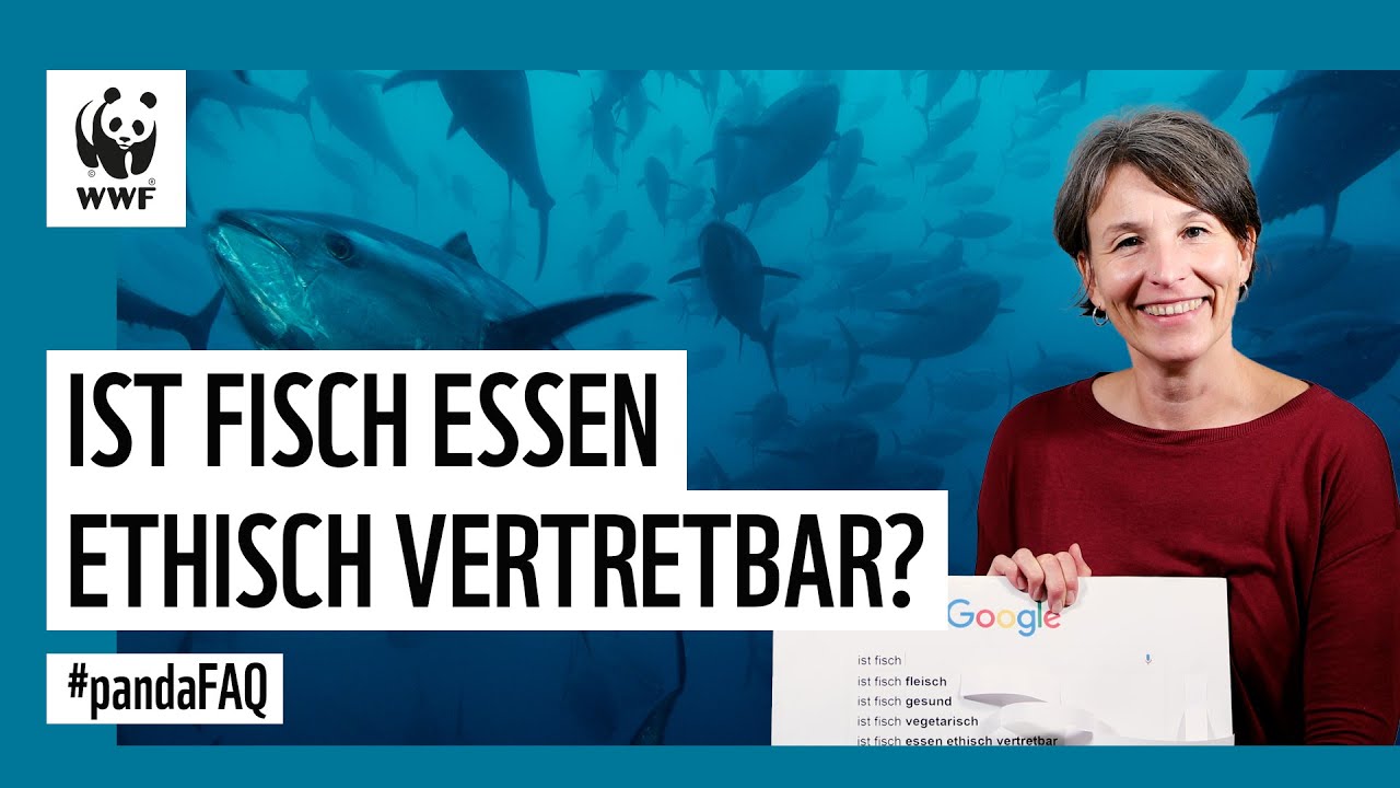 Ist Fisch essen ethisch vertretbar? Panda FAQ mit Meeresschutz-Expertin Heike Vesper