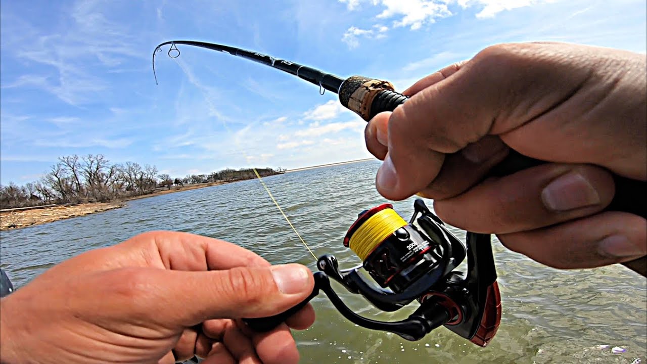 Multi-Species Fishing in 20+MPH Wind