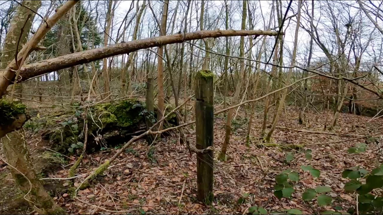 HAMPEN HILL CUTTING - FIRST VISIT AND RECCE.