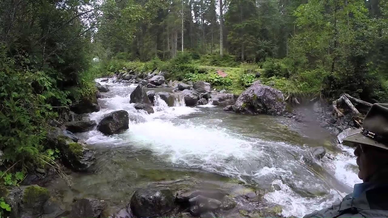 Wildbach fischen