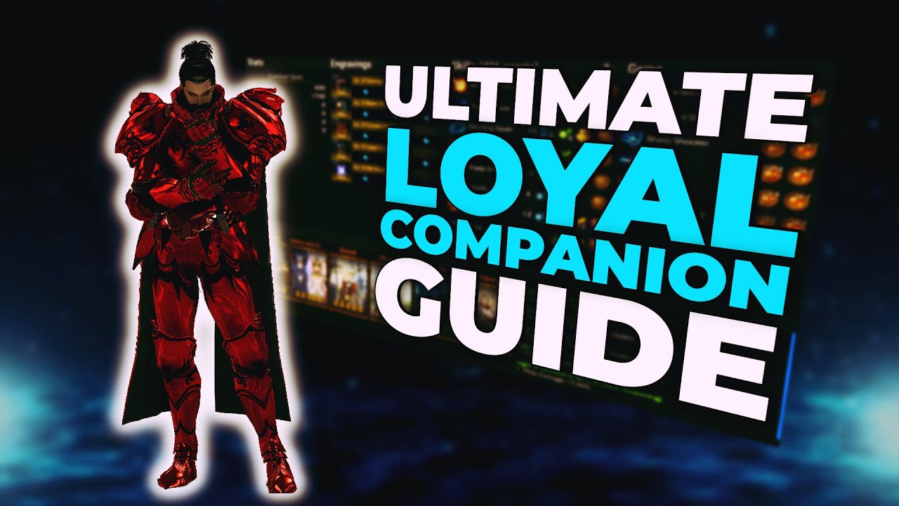 New Loyal Companion Sharpshooter - Everything You NEED To Know Guide