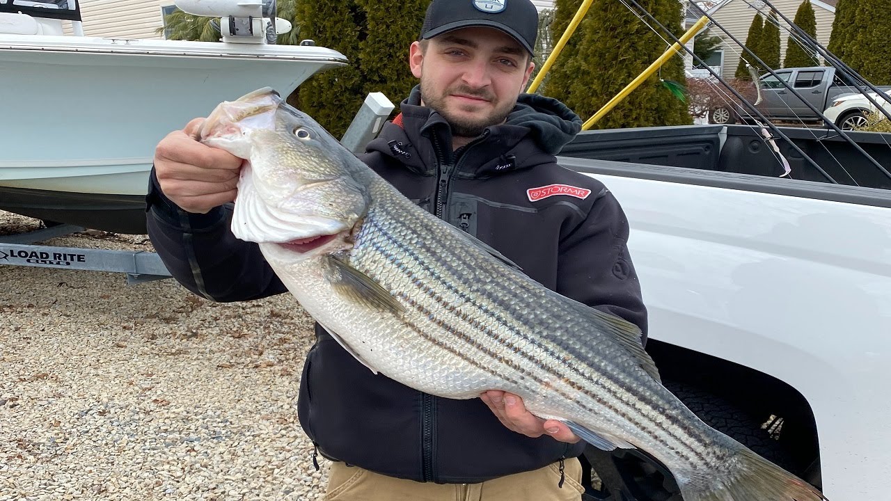 Tom's River - The Place to Catch Striped Bass!