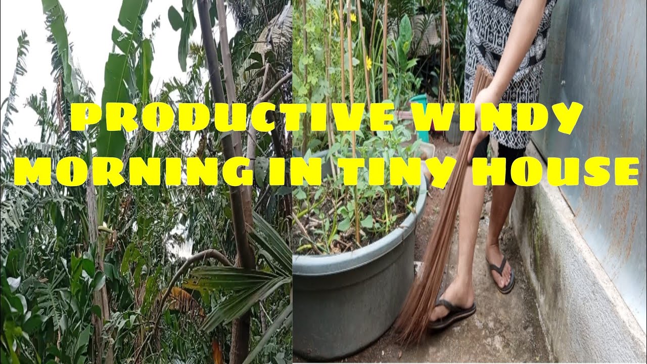 WINDY DAY IN OUR TINY HOUSE 🏡 HOMEMAKING MOTIVATION /PICK OYSTER/OUTDOOR CLEANING/MEAL PREP 