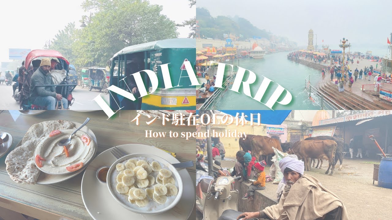 リシケシュ&ハリドワール旅🇮🇳#2 極寒ガンジス川沐浴？！早朝6時のヨガ活最高すぎへん？🧘‍♀️ハリドワールはもはや動物園やった｜India trip to Rishikesh Haridwar