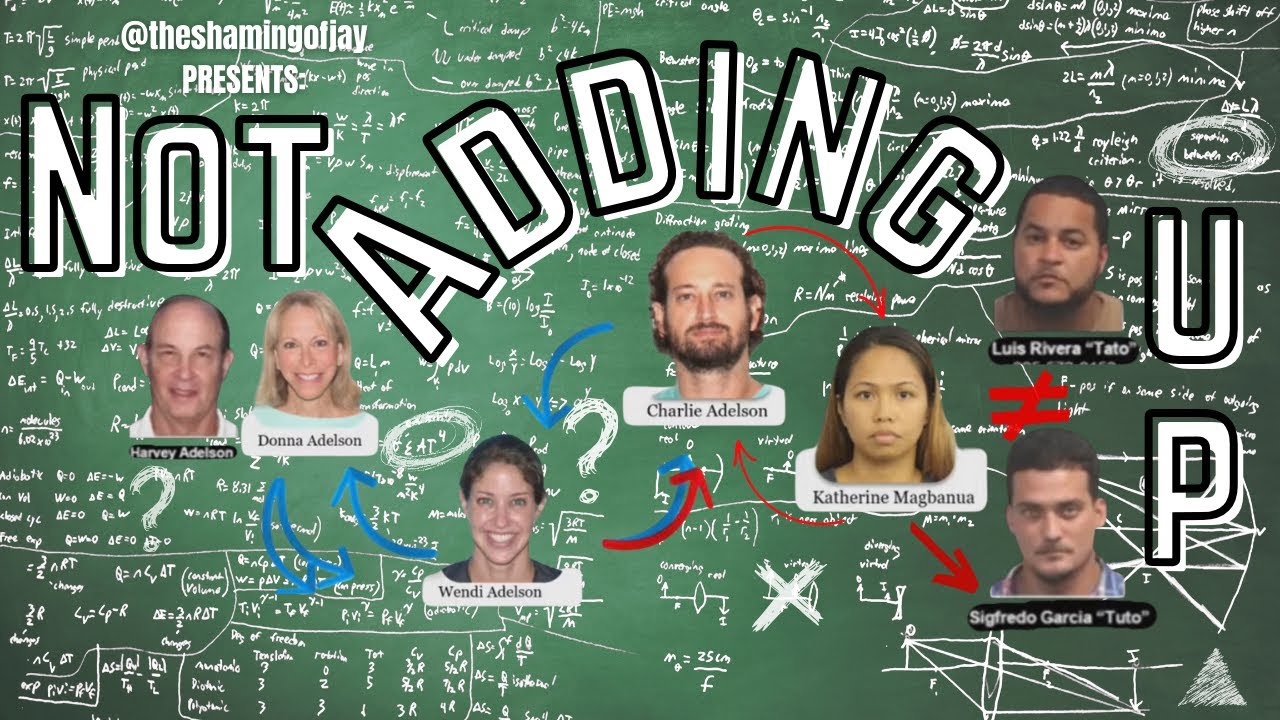 Not Adding Up - Some Questions I Have About Charlie, Wendi & Donna Adelson - Justice For Dan Markel