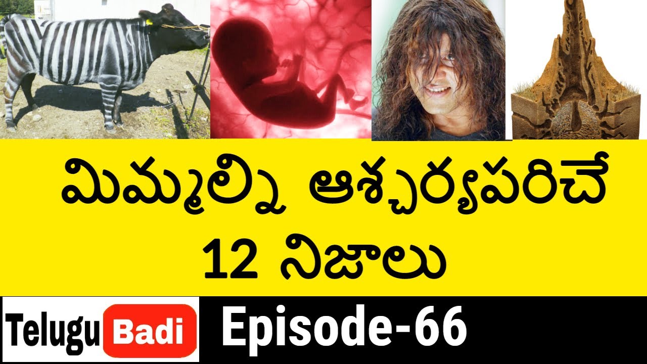 Top 12 Interesting Facts in Telugu | Unknown and Amazing Facts |  Episode 66 | Telugu Badi