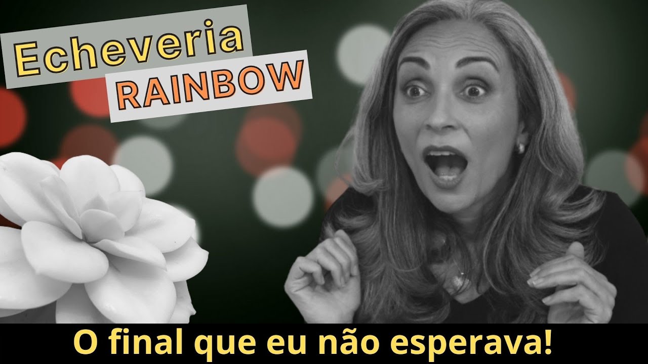Echeveria Rainbow - Pode não ter mais salvação!