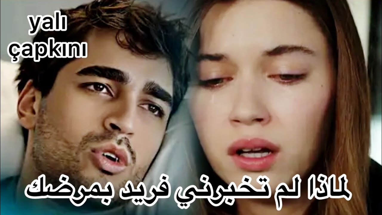 طائر الرفراف نقل فريد للمشفى و قلق سيران ومتى يتم زواجهم و حفل الفراشه الذهبيه