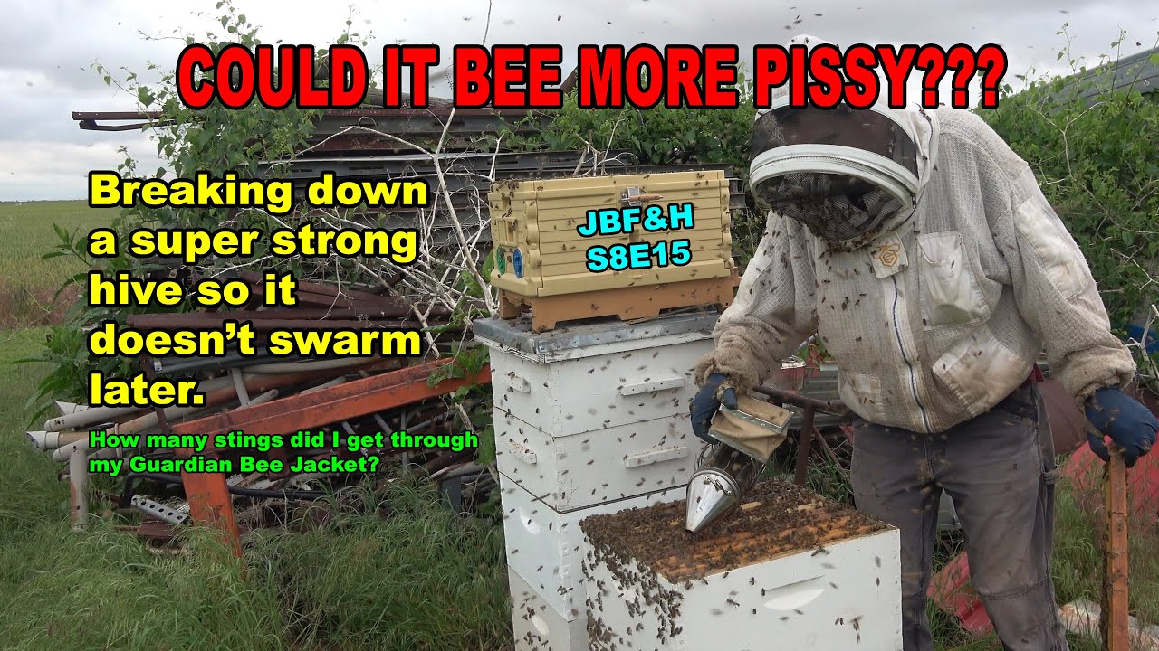 Super Pissy Hive Inspections in Western Oklahoma S8E15 