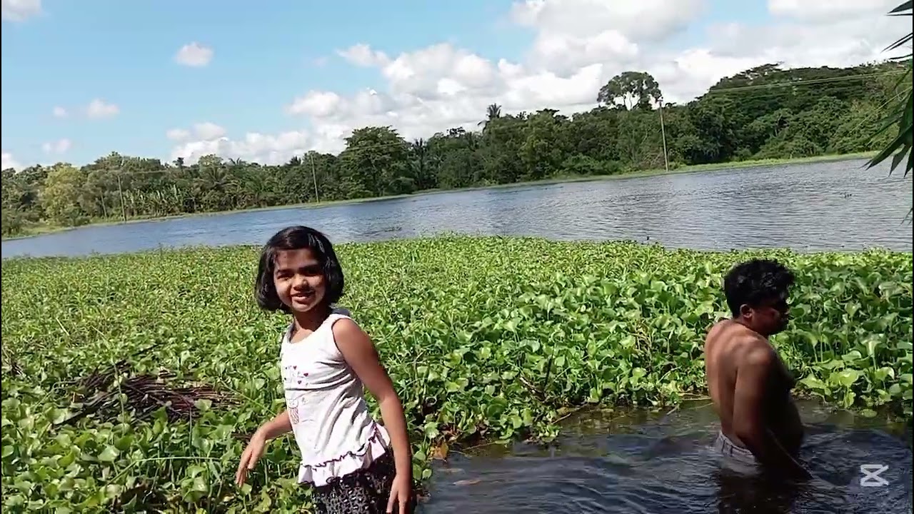 🍃ගෙවත්තේ වැඩ කලා.. වැවට නාන්න ගියා. 