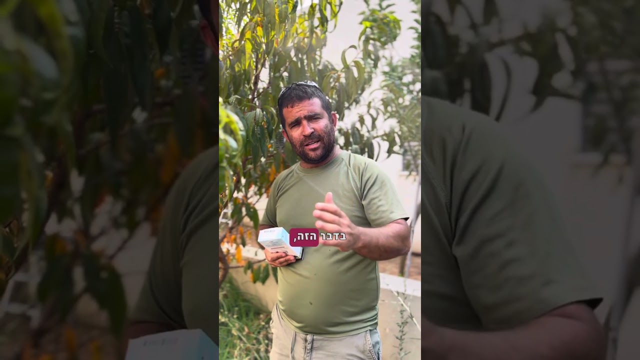 מה צריך לעשות עם עצים נשירים בחודשים ספטמבר ואוקטובר? כל התשובות בסרטון