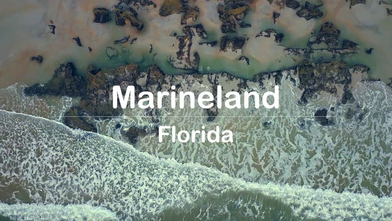 Marineland, Florida