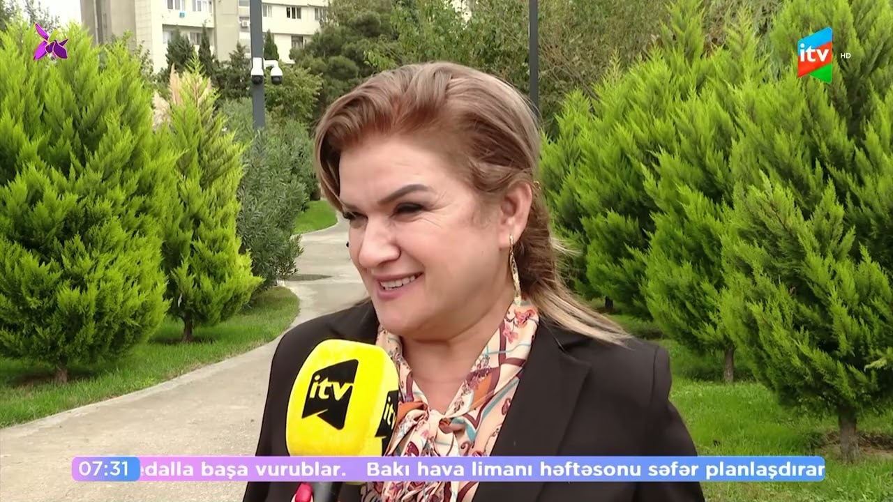 Meşə tipli parkda insanlar necə istirahət edir?