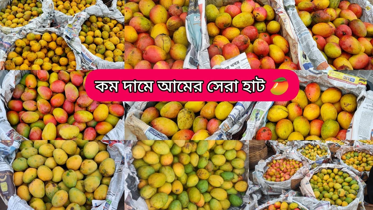 গোবরডাঙ্গার সেরা আমের হাট 😍 || মাএ ১০ টাকা কেজিতে আম 🙂|| Gobardanga Mango Market ||