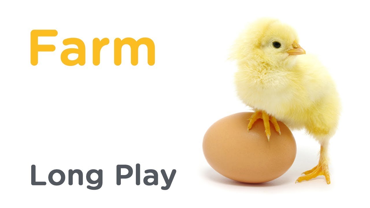 WeeSchool MacDonald's Farm &ndash; Long Play HD