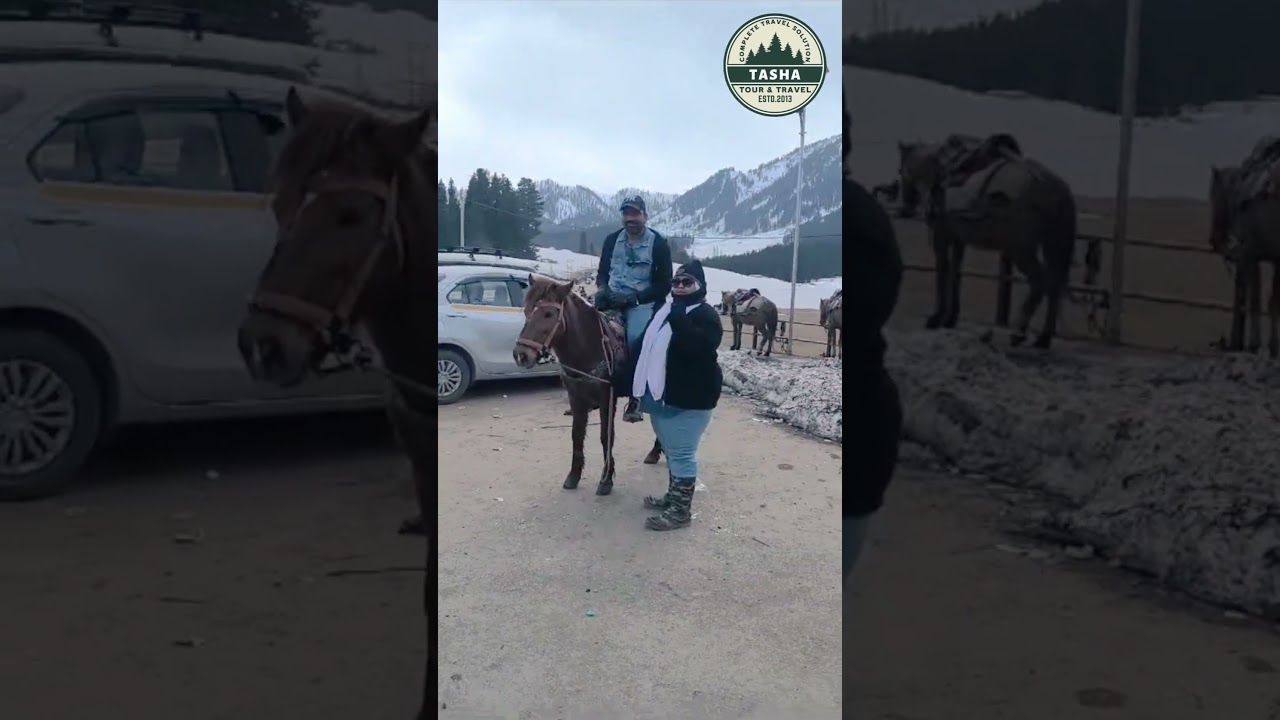 🏔️ Sameer&rsquo;s Pony Ride in Paradise! | Kashmir | Tasha Travels 🐎   #kashmirholidaypackages