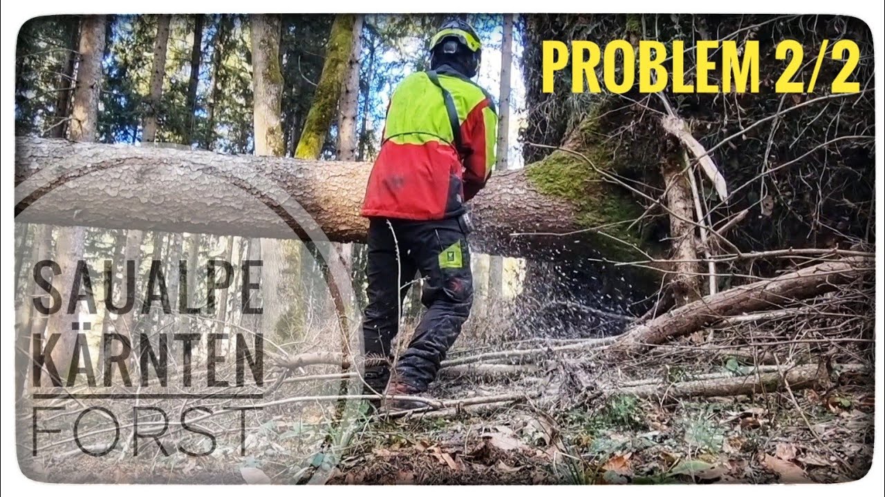 Die Problembäume machen wieder Probleme 2/2