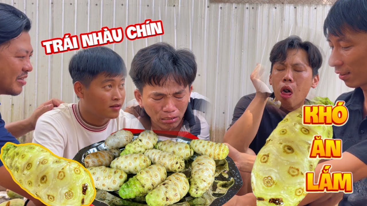 Thử thách ăn 100 trái nhàu chín cây cảm giác sẽ nhữ thế nào | HoàiPhong TV