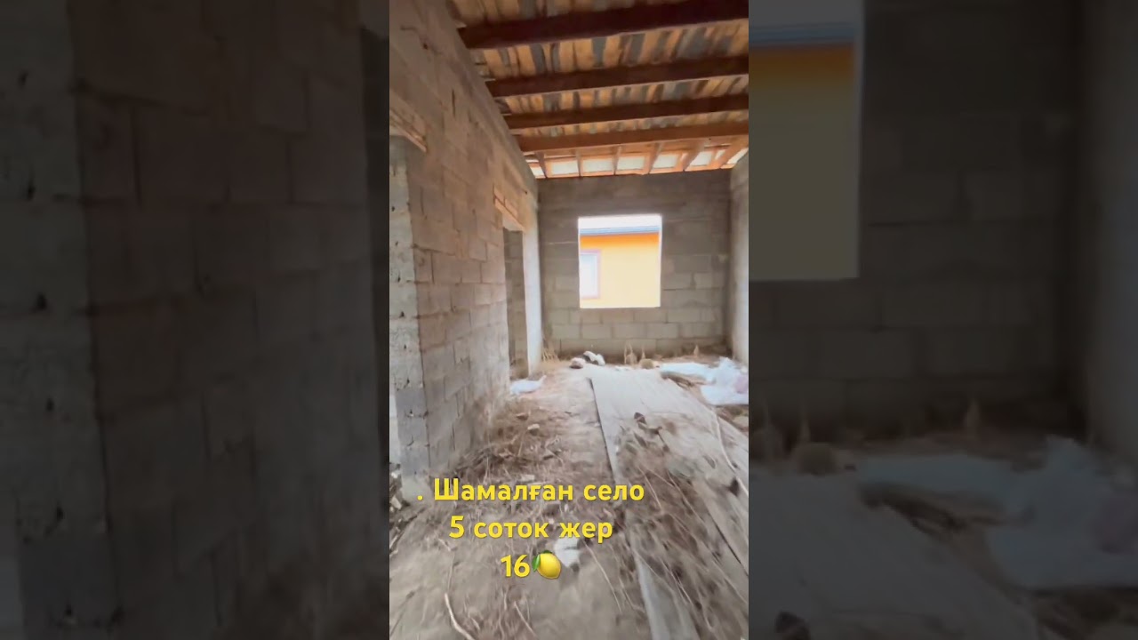 ☎️87755688429