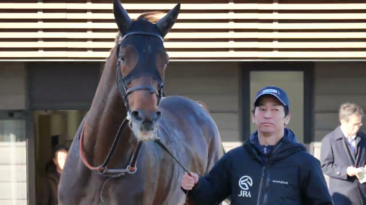 表彰式の音が気になるバステール。　#競馬　#弥生賞ディープインパクト記念 　#キタサンブラック