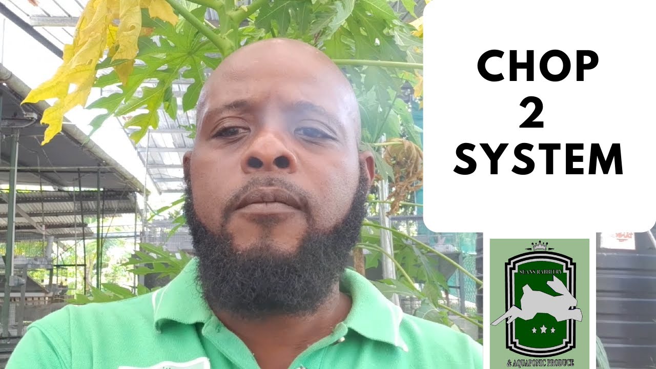 Система Trinidad Aquaponics CHOP 2, 22 апреля 2020 г.