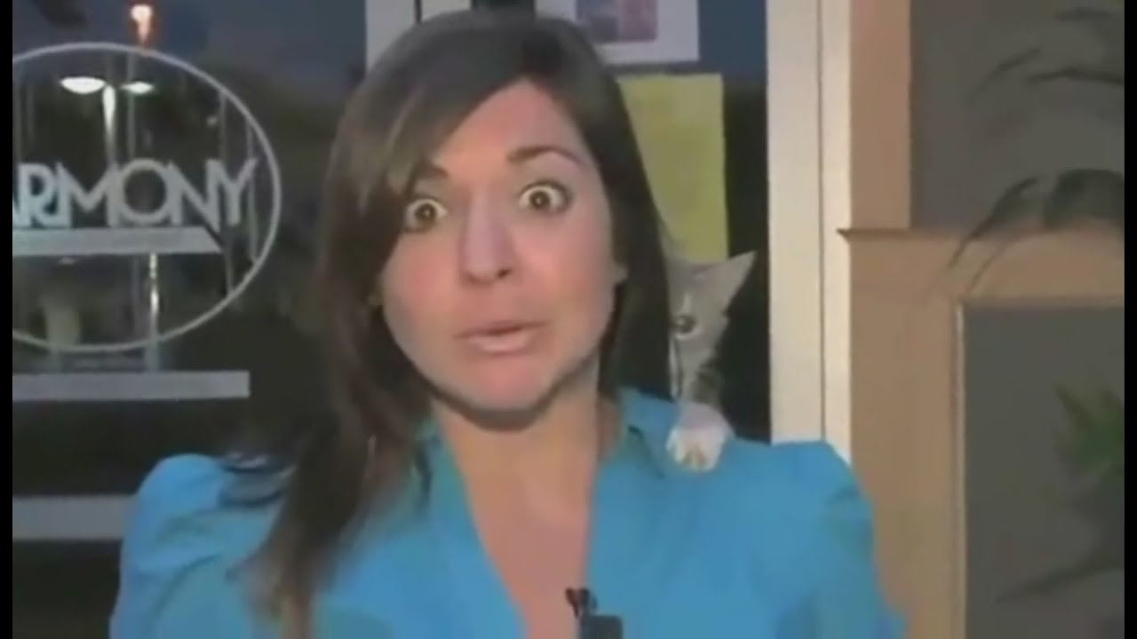 BEST Reporter Fails with Animals (Animals Are Mean)