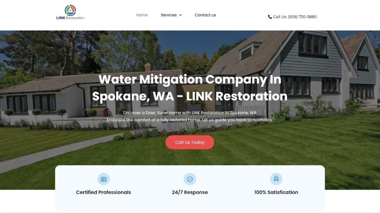 Link Restoration Online Audit | Peterson SEO