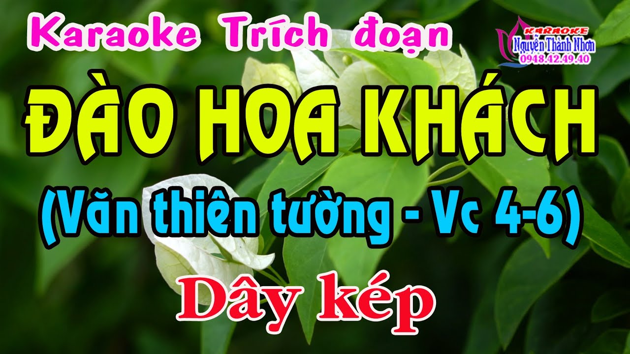 Karaoke trích đoạn ĐÀO HOA KHÁCH - DÂY KÉP