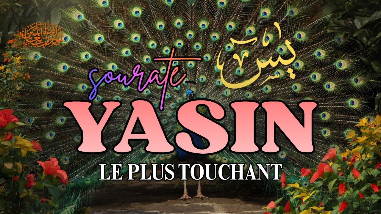 Commencez votre Dimanche béni avec une souratepleine de guidance | de Baraka et la Réussite