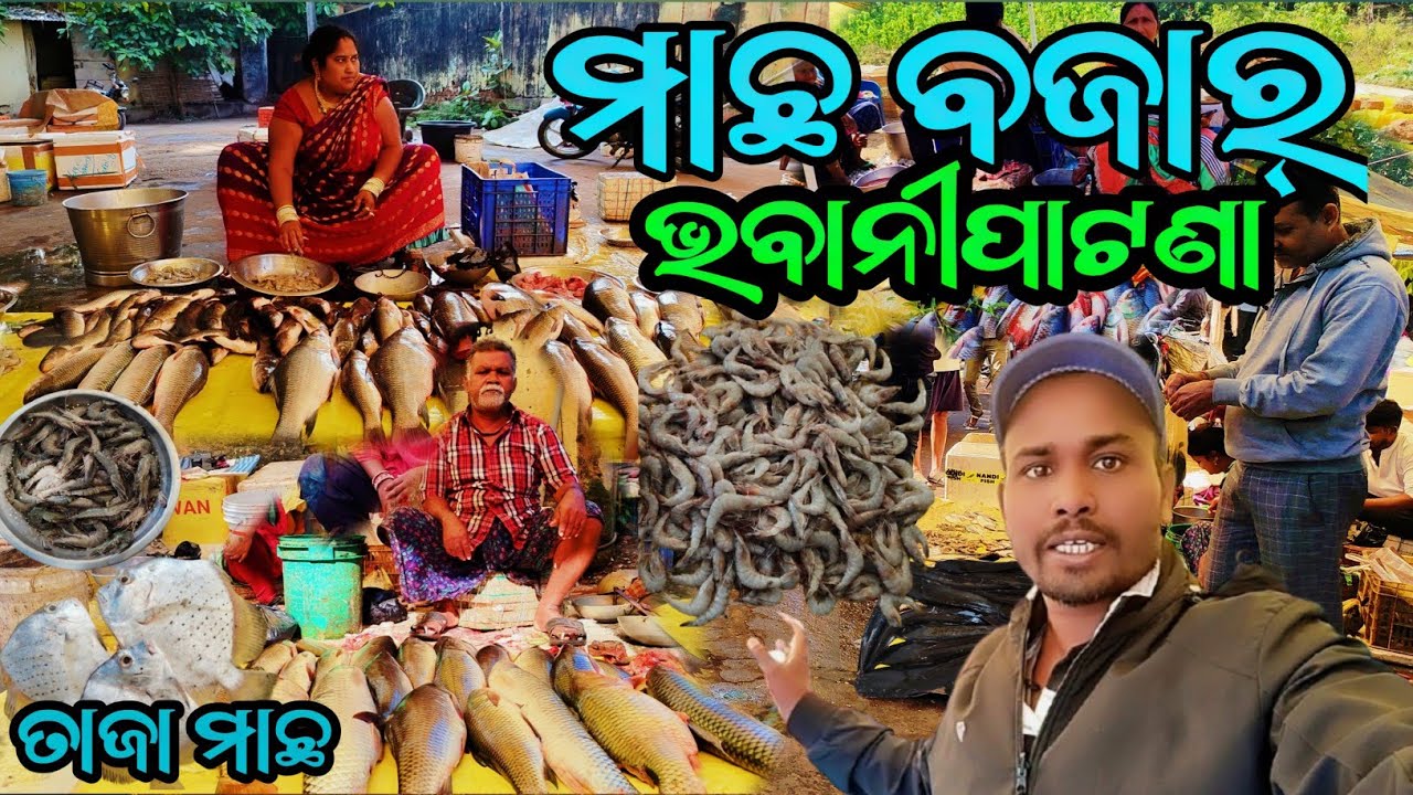 ମାଛ ବଜାର୍ 🐠 ମାଛ ବଜାର୍ ଭବାନୀପାଟଣା || ଭବାନୀପାଟଣା ମାଛ ବଜାର୍ 🐟🐠@Bazarvloger 