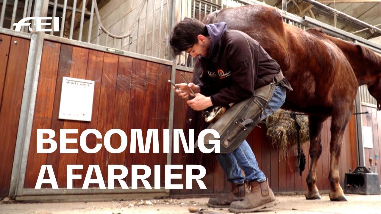 How to become a Farrier - The next generation of Horseshoe-Makers | Equestrian World